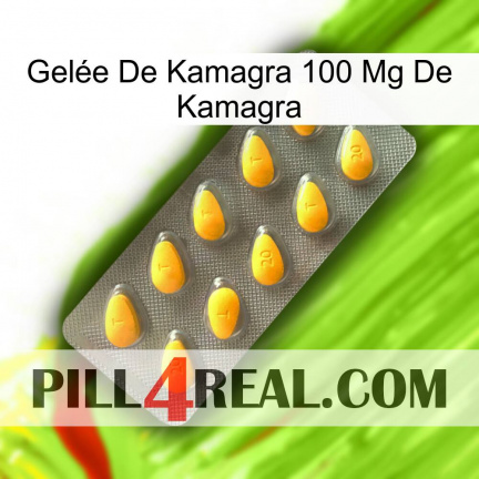 Gelée De Kamagra 100 Mg De Kamagra cialis1